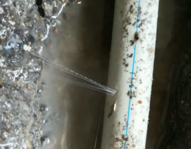 阿拉山口测漏水哪家好