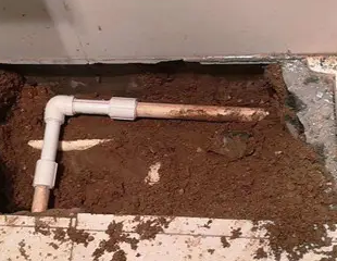 阿拉山口测漏水哪家好