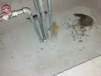 阿拉山口卫生间测漏水价格明细