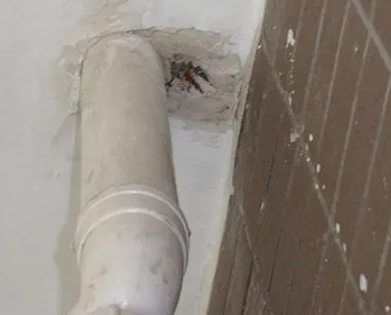 阿拉山口漏水检测哪家好